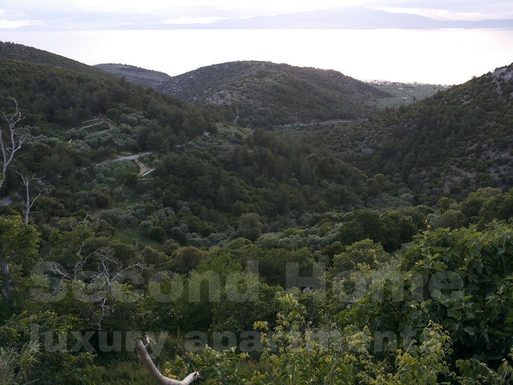 Second Home Скала-Сотірос Номер фото